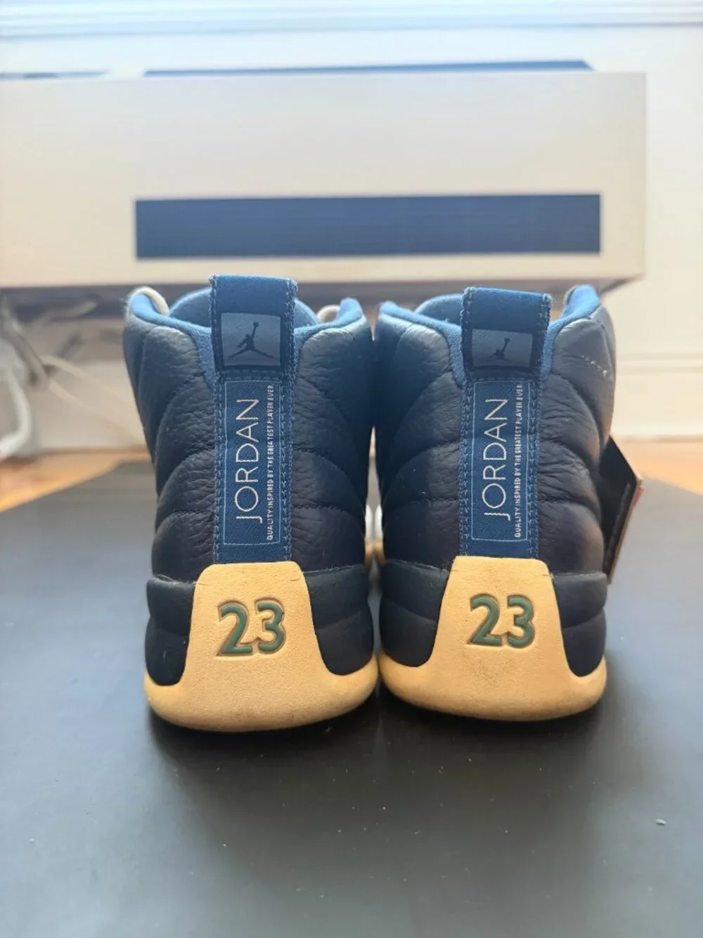 Nike Air Jordan 12 Retro 